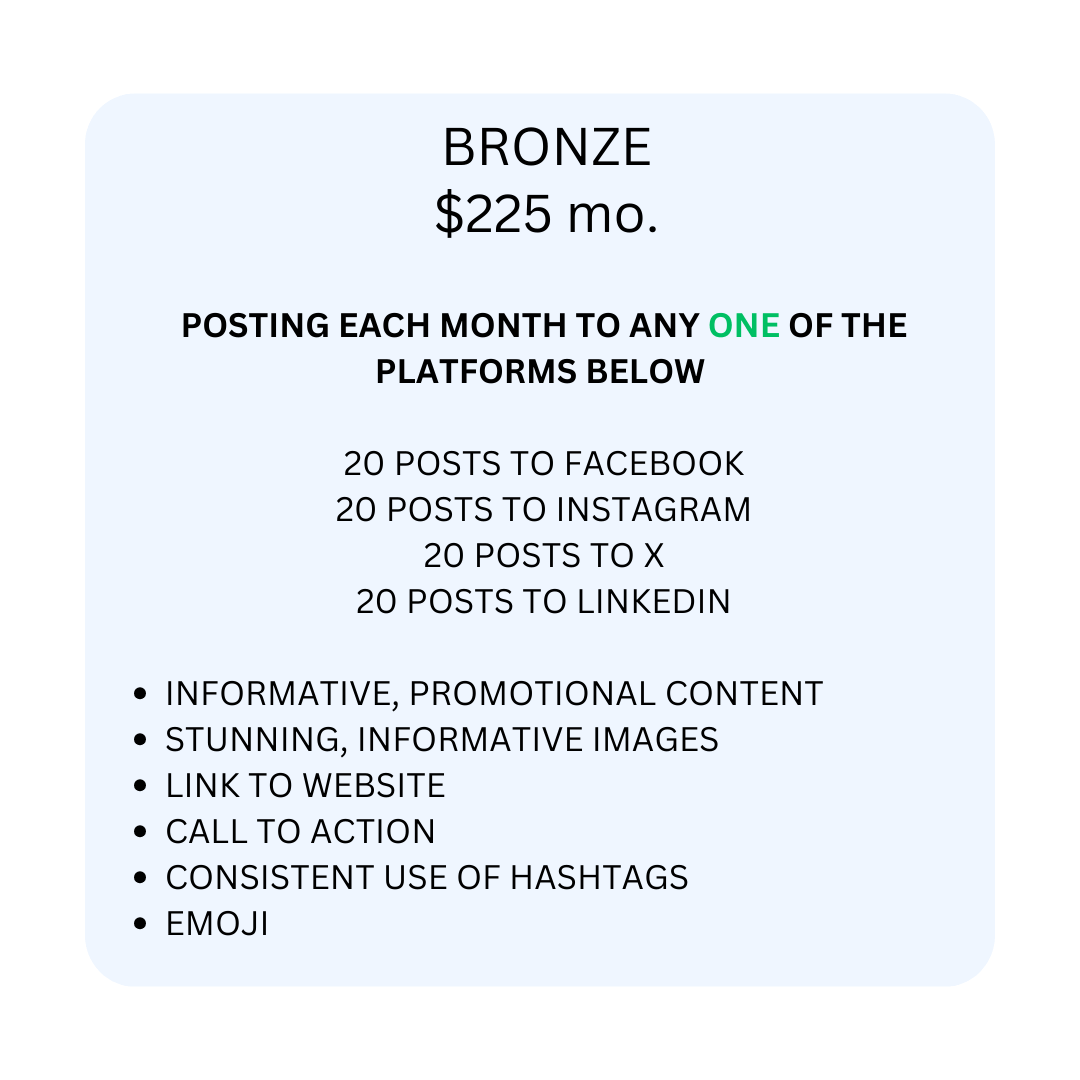 Bronze Posting Plan
